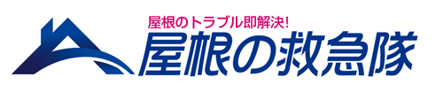 屋根の救急隊